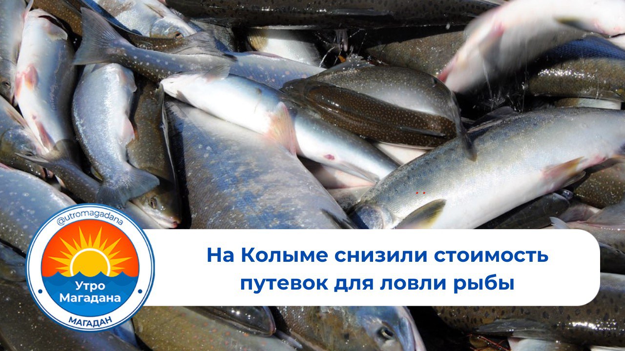 Губернатор Сергей Носов совместно с заместителем Председателя Магаданской областной Думы Игорем Донцовым, руководством Охотского филиала ФГБУ «Главрыбвод» и департаментом рыбного хозяйства региона поддержал идею о снижении стоимости путевок для рыбаков-спиннингистов.     Ранее «рыболовный билет» составлял 2810 рублей. Теперь на некоторых лицензионных участках любительского лова Охотского филиала «Главрыбвода» цена стала ниже на 1000 рублей  35,6%  и теперь составляет 1810 рублей. Откорректирован и включенный в разрешение перечень рыб: 15 горбуш, 1 кета и 2 кг гольца.      Больше хороших новостей