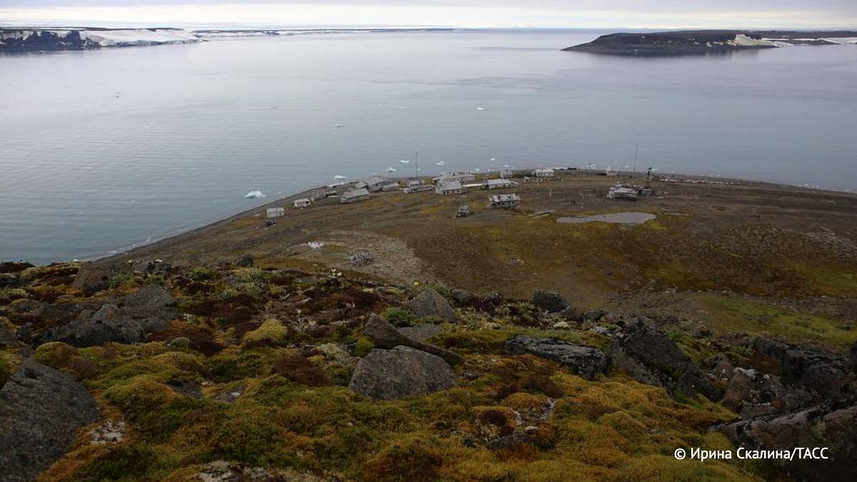 В Арктике обнаружили бактерию Escherichia marmotae. Генетически она близка к штаммам микробиоты европейских диких кабанов, рассказал ТАСС заведующий лабораторией функциональной геномики и протеомики микроорганизмов Института экспериментальной медицины Артемий Гончаров.     / Наука