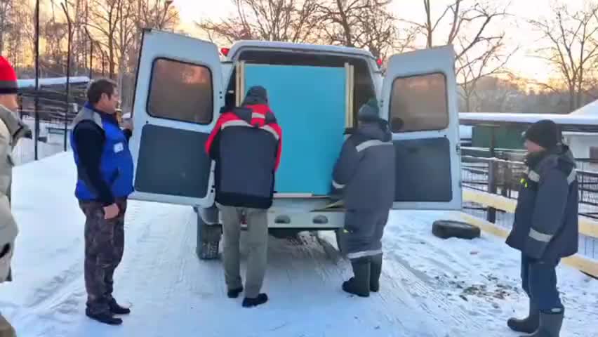 Лама поселилась в зоосаде Приамурский имени Сысоева