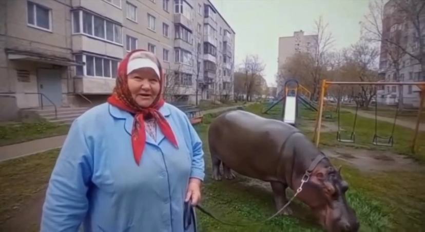 Россиянам запретили заводить бегемотов и кобр С 1 сентября 2025 года в России вступит в силу запрет на содержание дома 33 отрядов диких животных Соответствующее распоряжение правительства опубликовано на официальном портале правовой информации В список запрещенных питомцев входят в частности ядовитые змеи кобры мамбы тайпаны питоны длиной свыше 4 метров комодские вараны крокодилы каймановые черепахи крупные хищники медведи волки гепарды пумы слоны бегемоты электрические угри и коралловые полипы За нарушение предусмотрены штрафы от 1 5 тыс рублей для граждан до 15 тыс рублей для юридических лиц Фото соцсети нейросеть