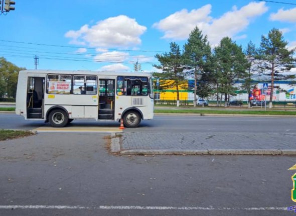 Ребенка сбил на зебре пассажирский автобус в Биробиджане Водитель ПАЗа решил проехать пешеходный переход на желтый Читать подробнее на сайте