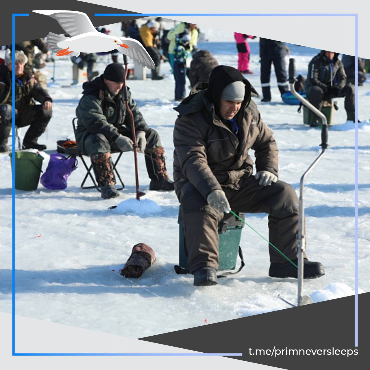 Во Владивостоке пройдёт Народная рыбалка 2026 Любителей подлёдного лова приглашают в бухту Бражникова в районе станции Океанская Участников ждут соревнования за самый большой улов и самую крупную рыбу а также конкурс Быстрый бур для ловких рыбаков Гостей угостят горячей ухой и чаем Выловленную рыбу после взвешивания передадут в приют для животных 21 февраля регистрация участников начнется в 7 00 Участие бесплатное достаточно взять с собой удочки прикормку и хорошее настроение Автор ЗОЖный тип Рубрика отдыхпоприморски Приморье не спит в MAX