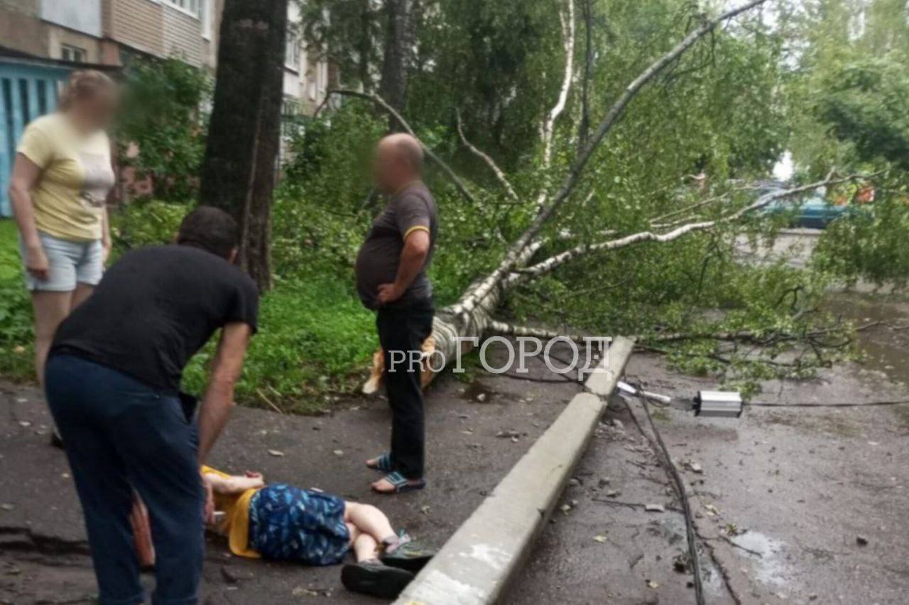 Дерево и столб упали на 9-летнего ребёнка из-за сильного ветра. Это произошло на проспекте Дзержинского. Ребёнок в больнице. Возбуждено уголовное дело ст.293 УК РФ халатность . по факту травмирования несовершеннолетнего. Подпишись на «Ярославль №1»