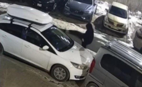 Полицейские наказали подростка за хулиганство в одном из дворов Владивостока   В одном из дворов на улице Майорa Филипова 17 летний местный житель ночью повредил четыре припаркованных автомобиля Сотрудники установили личность нарушителя и составили административный протокол по ч 1 ст 5 35 КоАП РФ на его законных представителей Материалы по делу направили в комиссию по делам несовершеннолетних Фрунзенского района Сейчас специалисты устанавливают размер причиненного ущерба Источник prim police vmfareast