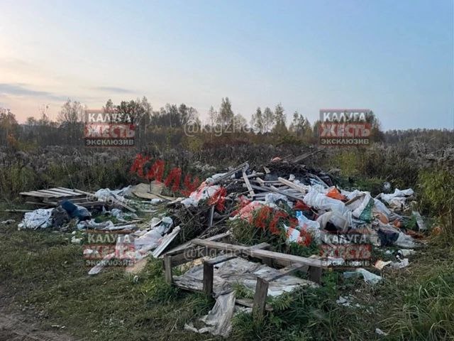 Несанкционированная свалка около Бушмановского пруда!  Двое неизвестных сваливают крупногабаритный мусор рядом с прудом,при всем этом по количеству этого мусора ясно,что делают это не в первые.  Мусора становится все больше, свалка там не первый день.  Прошу обратить внимание властей на эту проблему! анон.  Прислать новость:   Заказать на канале рекламу: