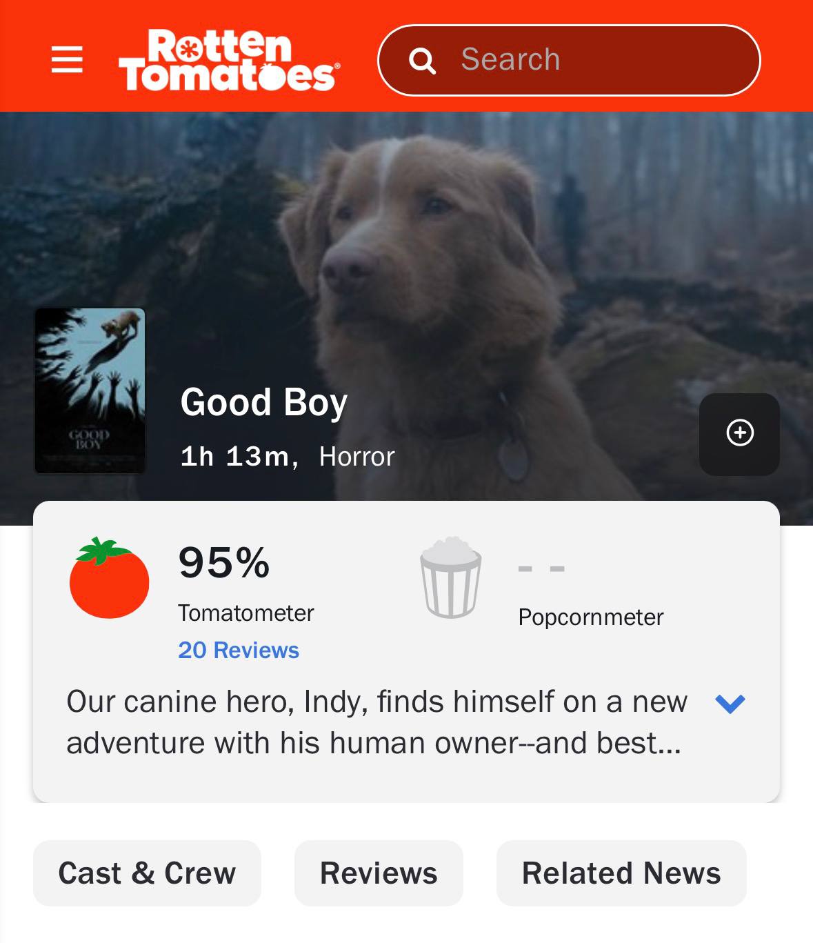 Хоррор, снятый от лица собаки, стал хитом на Rotten Tomatoes — фильм «Хороший мальчик» собрал 95% и буквально «разбил сердце» всем критикам. По сюжету пёс по кличке Инди видит духов, преследующих его хозяина в новом доме. Журналисты уже называют фильм одним из самых душераздирающих за этот год. Даты премьеры пока нет. Ждём и готовимся рыдать в кино