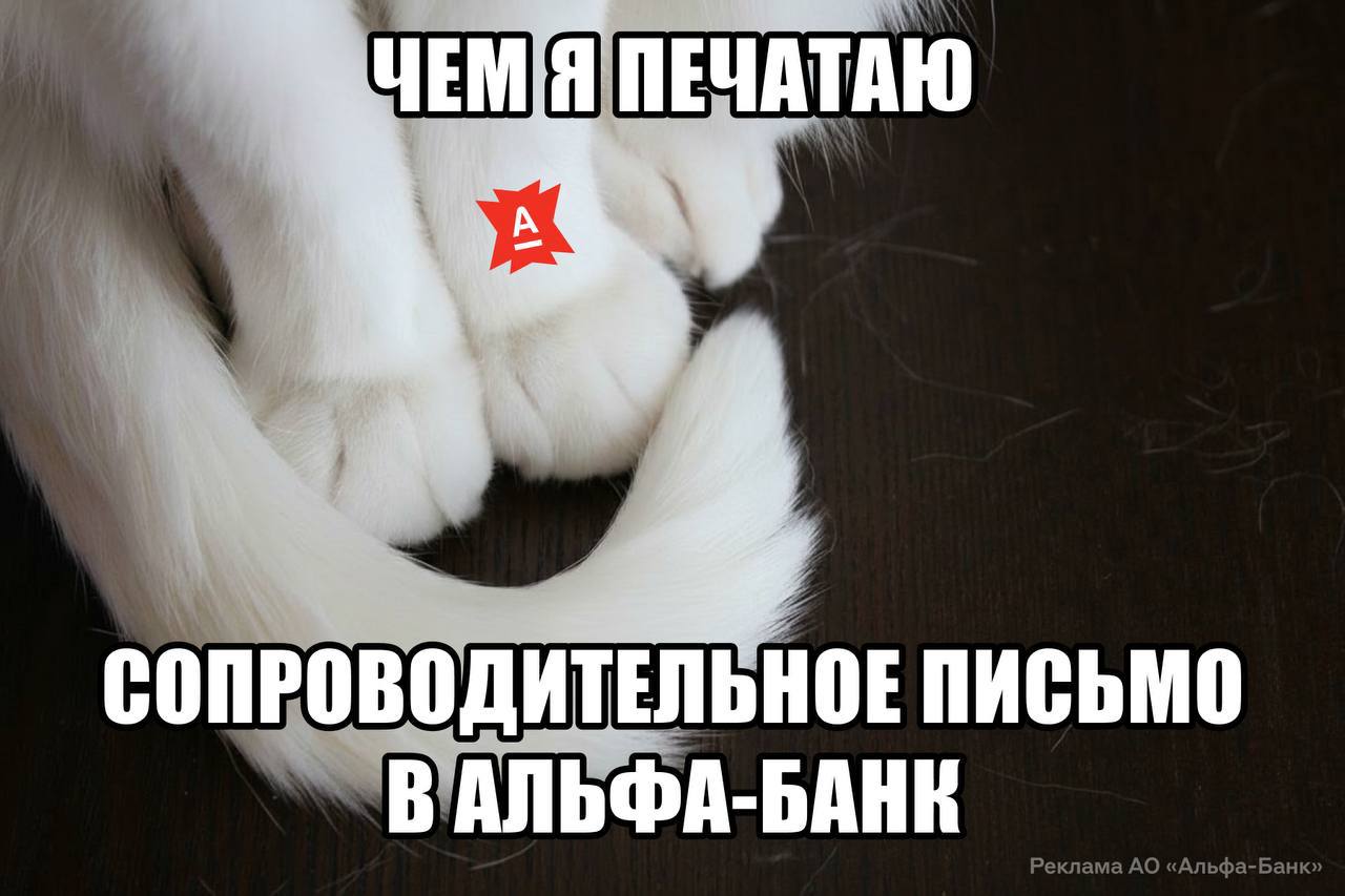 Альфа Банк поставил рекорд третий раз подряд победил в рейтинге работодателей hh ru В 2025 м частью команды стали 34 тысячи новых спецов Чтобы среди них было больше молодых ребят банк запустил платформу Альфа Будущее Он вложил 3 миллиарда рублей в оплачиваемые стажировки масштабные фесты и технологичные коворкинги Смотрим все вакансии здесь