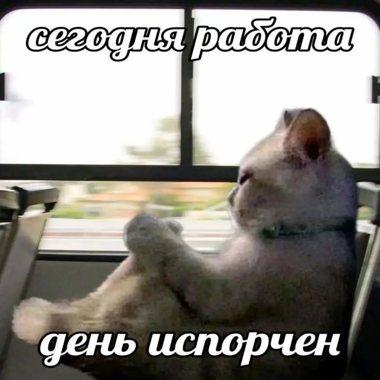 Улан удэнцы рассказали из за чего испытывают стресс на работе Новым исследованием поделились эксперты сервиса SuperJob Самым частым раздражителем стало поведение коллег 15 а именно токсичность склоки грубость и сплетни На втором месте отношение руководителя к подчиненным 11 затем идет непрофессионализм начальства 7 На четвертой строчке некомпетентность коллег и нестабильность работы предприятия по 5 4 респондентов переживают из за авралов еще 3 из за перегрузок бардака в процессах безделья размытых задач и низкой зарплаты 12 людей вообще не испытывают стресс на работе Мужчины более остро реагируют на некомпетентность начальства и чаще отмечают непрофессионализм коллег Женщины же больше страдают от поведения коллектива и руководства а также от клиентов и общей неорганизованности А из за чего вы испытываете стресс на работе отношение руководства склоки с коллегами бардак в процессах Канал Ариг Ус в MAX