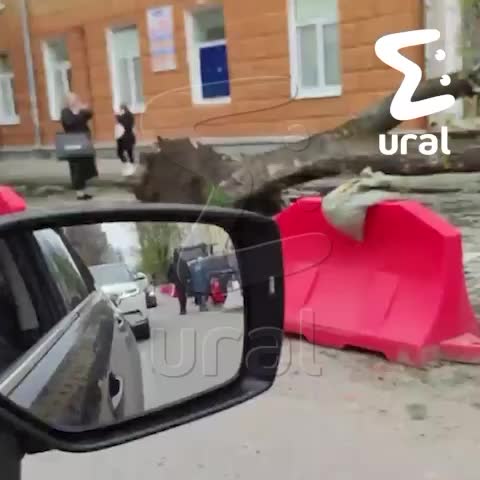Спасатели устраняют последствия падения деревьев в Москве и области