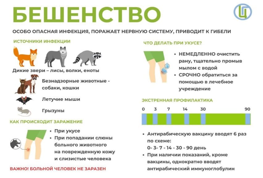 Женщина, укушенная лисой, умерла от бешенства в Волгоградской области.  Как рассказали «Короче, Волгоград» в облздраве, погибла 44-летняя жительница Михайловки. После укуса она не обращалась к медикам. Почувствовав, что боится воды, волгоградка всё-таки дошла до больницы, но было уже поздно.    Подписаться на «Короче, Волгоград»