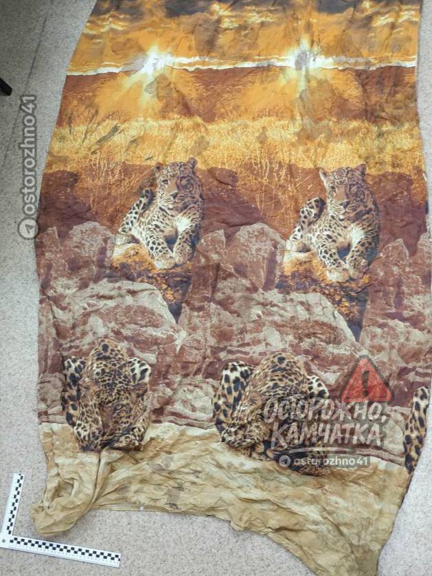 Осторожно за информацию о матери младенца объявлено вознаграждение В марте 2024 года на свалке нашли тело новорождённого ребёнка завернутое в пододеяльник с леопардами По данным следствия младенец славянской внешности был рождён живым личность матери до сих пор не установлена Следственный комитет назначил вознаграждение 1 миллион рублей за информацию которая поможет установить женщину родившую в период с 15 февраля по 6 марта 2024 года Сообщить данные можно по телефонам 7 913 014 04 05 или 102 анонимность гарантируется Мы в МАХ Предложка открыта Обсудим в чате Осторожно Камчатка