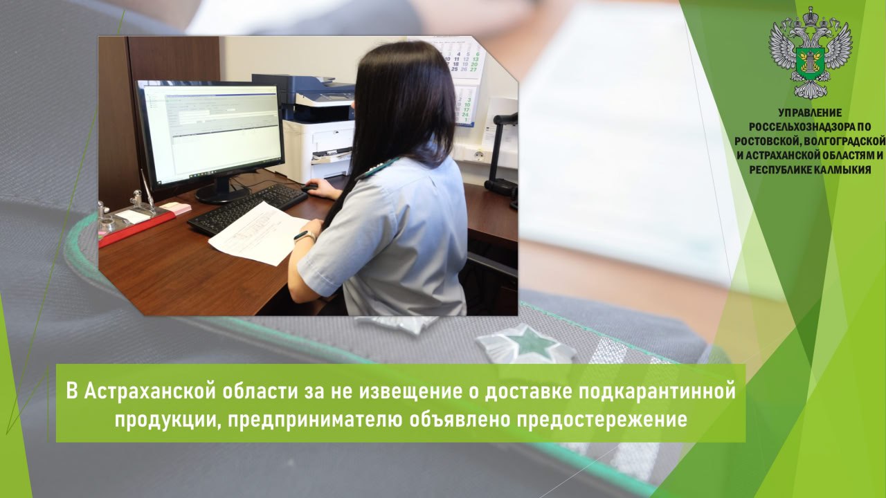 Управлением Россельхознадзора в ходе мониторинга данных ФГИС «Аргус-Фито» выявлено нарушение порядка ввоза подкарантинной продукции на территорию Астраханской области.    При мониторинге данных установлено, что предпринимателем осуществлен ввоз подкарантинной продукции — крепежные материалы  деревянные  в сопровождении карантинных сертификатов. Однако предприниматель не погасил карантинный сертификат в течение одного дня с момента доставки данной продукции в ФГИС «Аргус-Фито». Кроме того, не известил Управление Россельхознадзора в установленном порядке и не обеспечил необходимые условия для своевременного осуществления государственного карантинного фитосанитарного контроля  надзора  прибывшей продукции.  По данному факту предпринимателю вынесено предостережение о недопустимости нарушения обязательных требований.     Открыть полный текст  #Карантин_растений