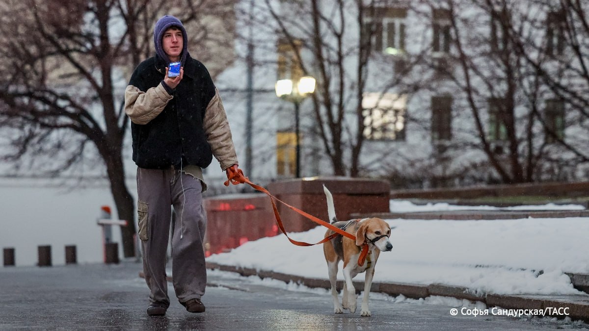 Температура в Москве в первые дни февраля превысит норму на 7-8 градусов. Показатель днем будет около нуля градусов, рассказал ТАСС научный руководитель Гидрометцентра России.     / Москва