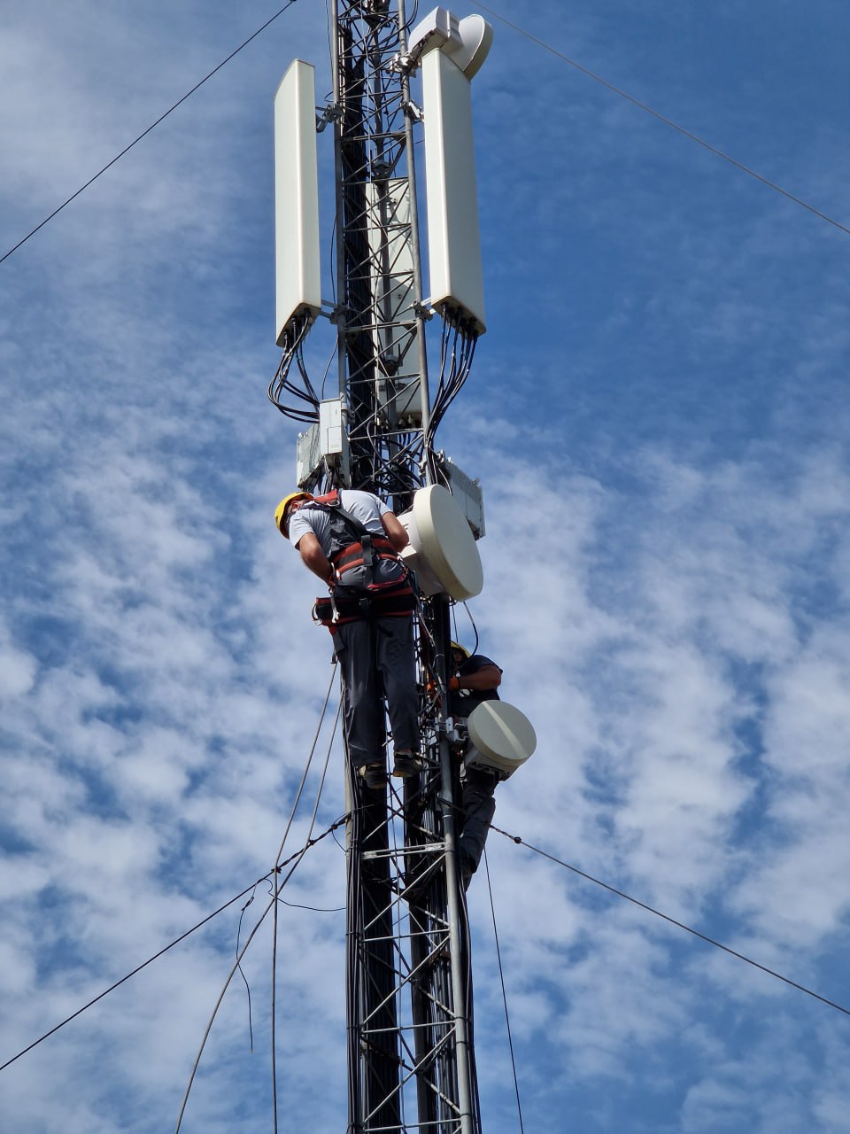 По итогам работы в 2025 году на территории Донецкой Народной Республики тремя операторами подвижной радиотелефонной связи ГУП ДНР РОС ООО Миранда Медиа и ООО К Телеком запущено в работу 1 619 базовых станций при плановом показателе 1 080 базовых станций Фактическое выполнение плана составило 150 В том числе произведён монтаж новых базовых станций в 61 населенном пункте отдаленном от сетей связи  Всего в ДНР насчитывается 10 004 базовых станций с покрытием мобильной сети 74 территории региона без учета неподконтрольных территорий а также покрытием мобильным интернетом 63 территории региона  ГУП ДНР РОС развернута инфраструктура связи в 9 вновь освобожденных городах и малых населённых пунктах осуществлено строительство новых волоконно оптических магистральных кабелей связи в 10 удаленных населенных пунктах ранее не обеспеченных волоконно оптическими каналами связи Продолжаются работы по вводу в эксплуатацию объектов связи в отдельных прифронтовых населённых пунктах  Реализован проект коврового покрытия стандартом LTE 2600 федеральной трассы Р 150 Донецк Мариуполь в рамках которого построено и введено в эксплуатацию 16 новых объектов связи В настоящее время операторами подвижной радиотелефонной связи сформированы планы строительства на 2026 год в том числе в 18 населенных пунктах отдаленных от сетей связи В республике планируется прирост количества базовых станций на 1 202 шт  ГУП ДНР РОС на 2026 год запланировано восстановление поврежденных в ходе боевых действий и строительство новых волоконно оптических магистральных кабелей связи общей протяженностью порядка 150 км