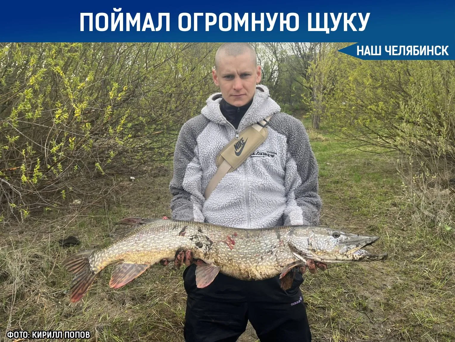 Челябинец поймал семикилограммовую щуку в центре города Он вытащил ее из реки Миасс Мужчина отпустил рыбу Он всегда так делает с крупными уловами Напомним с 5 мая в регионе начнется нерестовый запрет Рыбачить можно будет только с берега Наш Челябинск новости без лапши Подпишись