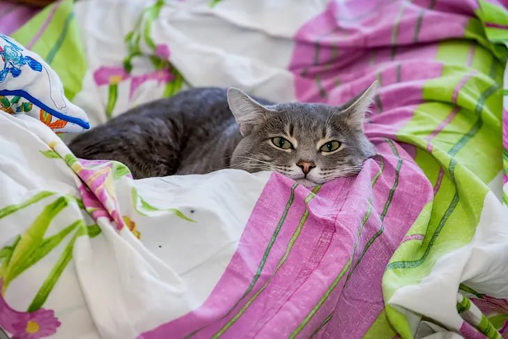 Россияне рассказали о постоянном чувстве усталости к концу 2025 года Состояние постоянной усталости свойственно 68 участников опроса проводимого Русской школой управления На втором месте регулярное перенапряжение и стресс 62 на третьем раздражительность 55 Почти каждый второй признался что не хочет идти на работу по утрам 47 а 43 отметили потерю инициативы и энтузиазма Главным фактором который приводит к эмоциональному выгоранию респонденты назвали неэффективную организацию рабочих процессов На втором месте большое количество рабочих задач 51 Финансовый фактор тоже играет важную роль 36 считают одной из причин выгорания низкую зарплату Как настроение у вас в конце года До Нового года осталось 7 дней   Подписаться на наш канал в MAX