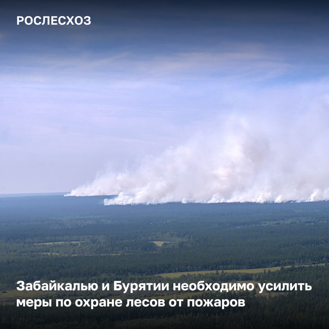 За прошедшие сутки в 15 регионах потушили 37 лесных пожаров на площади 2,2 тыс. га. На 06:00 продолжалось тушение: - 59 лесных пожаров на площади 410 тыс. га. К ликвидации привлечено 1798 человек, 254 ед. спецтехники. Про обстановку в Забайкалье и Бурятии «Наиболее сложная лесопожарная обстановка сохраняется в Забайкальском крае и Республике Бурятия. По прогнозам Росгидромета, в этих регионах прогнозируется 4-5 класс пожарной опасности, отсутствие осадков и усиление ветровой нагрузки. Регионам надлежит привлечь имеющиеся силы и средства на действующие возгорания и держать лесопожарную обстановку на контроле. Также в ближайшее время в Бурятии для прокладки минерализованных полос для тушения действующих пожаров будут проведены взрывные работы специалистами Авиалесоохраны. Кроме этого, будет задействован самолет-зондировщик, вызывающий искусственные осадки», - заключил замглавы Рослесхоза Алексей Венглинский на заседании Федерального штаба по координации деятельности по тушению лесных пожаров. Помощь регионам в стабилизации лесопожарной обстановки оказывают: - 1 099 работников ФБУ «Авиалесоохрана» и региональных специализированных учреждений по охране лесов.