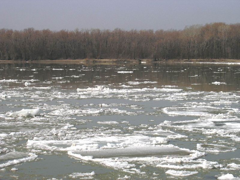 В Оренбуржье в реке Ток утонул мужчина у села Актыново.   Водолазы Оренбургской областной аварийно-спасательной службы выехали на место происшествия.