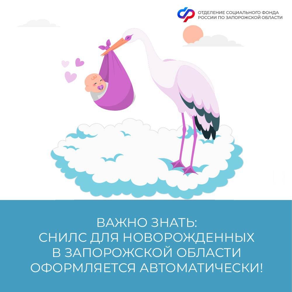 СНИЛС для новорожденных в Запорожской области присваивается автоматически. В Запорожской области родителям не требуется самостоятельно оформлять СНИЛС на детей. ОСФР по Запорожской области сделает это автоматически. После регистрации новорожденного в органах ЗАГС информация о государственной регистрации рождения автоматически передается в Социальный фонд России. СНИЛС ребенка направляется в личный кабинет мамы на портале госуслуг необходима подтвержденная учетная запись . Региональная горячая линия ОСФР по Запорожской области: +7 990 041-47-42, +7 990 041-47-43. ЗАПОРОЖСКИЙ ТЕЛЕГРАФ