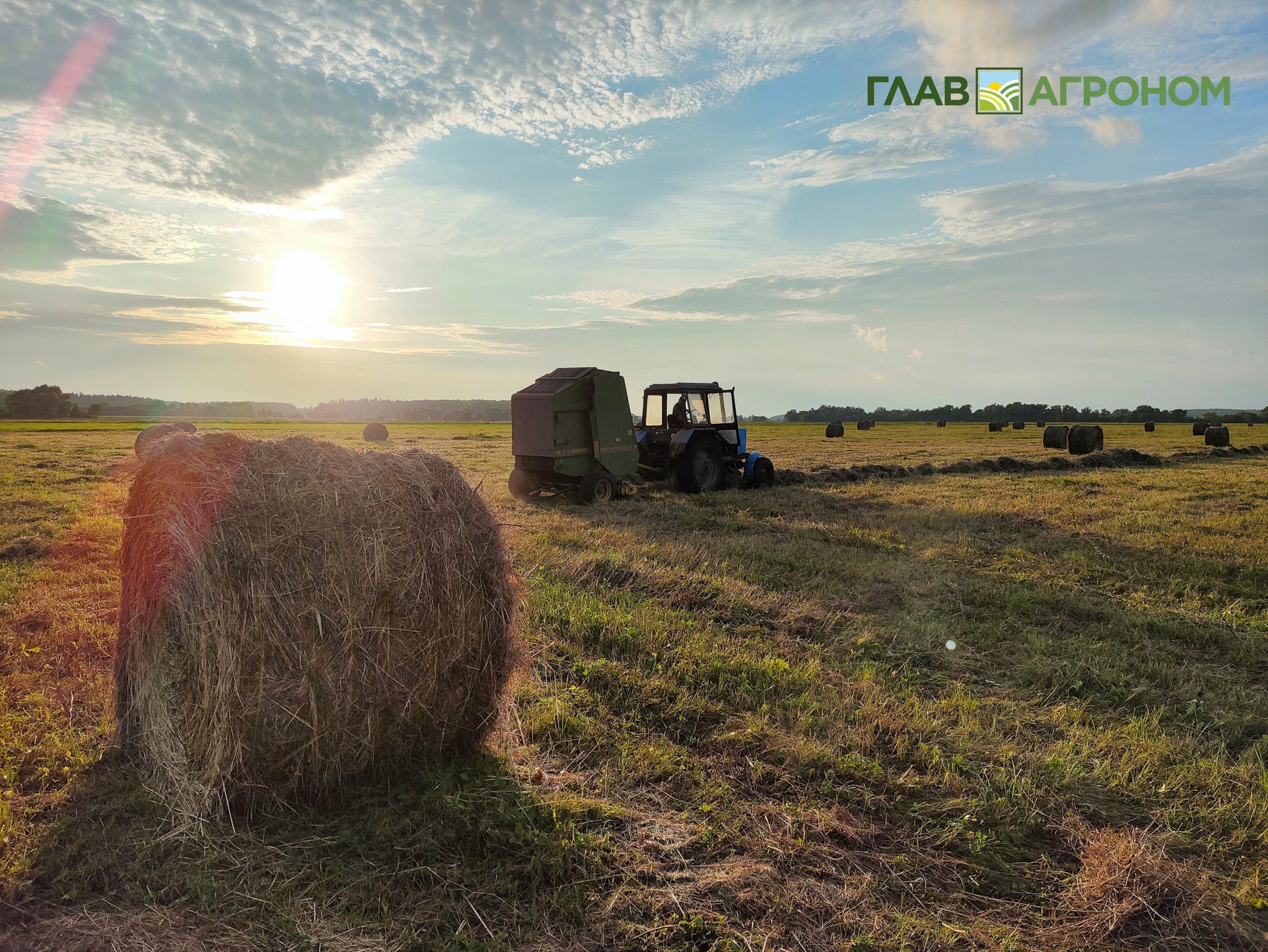 В Калининградской области объявлен режим чрезвычайной ситуации Согласно указу губернатора Алексея Беспрозванных причиной введения режима ЧС стали неблагоприятные погодные условия которые привели к гибели посевов и урожая сельскохозяйственных культур Основной угрозой стало переувлажнение почвы Режим ЧС будет действовать с 22 по 26 декабря 2025 года