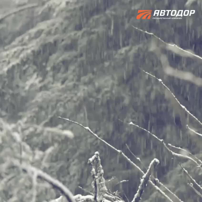 Аварийные комиссары Автодора оказали помощь водителям почти 180 тысяч раз в 2025 году