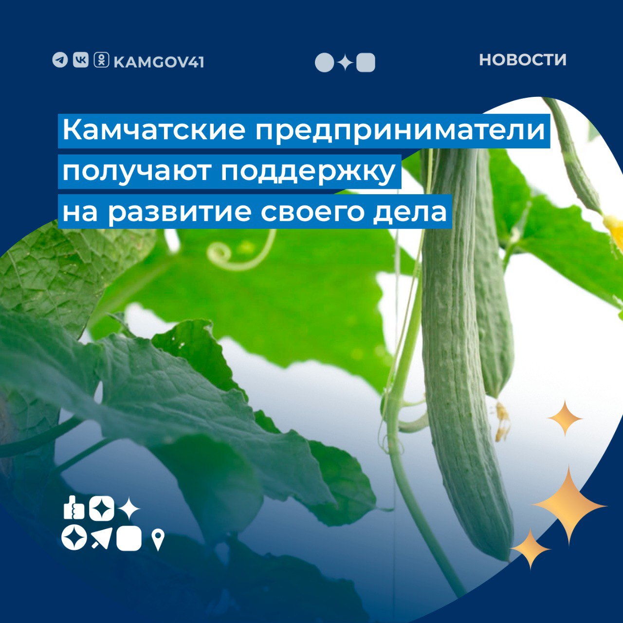 Благодаря реализации президентского нацпроекта «Эффективная и конкурентная экономика» семейное фермерское хозяйство получило поддержку на развитие производства. КФХ Скирдова получило на развитие сельхозпроекта 30 млн рублей федеральных средств по программе государственной поддержки «Семейная ферма» и 8 млн рублей краевого софинансирования. Сейчас в КФХ четыре теплицы площадью 4 тыс. квадратных метров – предприятие выращивает овощи для жителей Камчатского края. #Камчатка #нацпроекты #предпринимательство #президент #поддержка