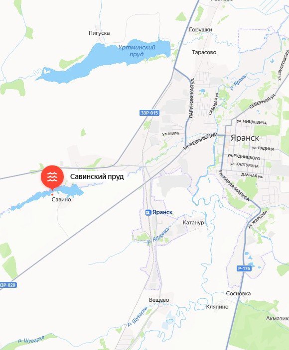 ‼ Следы медведя были обнаружены вблизи Савинского пруда у города Яранска. Информацию, появившуюся в соцсетях, проверили сотрудники Центра охраны и использования животного мира. После тщательного обследования территории было установлено: опасности для местных жителей нет. Следы животного уходят в сторону полей и перелесков, признаков его активной жизнедеятельности рядом с прудом не зафиксировано. Тимур Абашев, министр охраны окружающей среды Кировской области: - Сейчас у медведей активный период, и, как и другие дикие животные, они стараются избегать встреч с человеком. Однако вне населённых пунктов всегда есть вероятность встретить следы или даже самих животных — это их естественная среда обитания. При обнаружении следов дикого животного в населённом пункте или поблизости необходимо сообщить об этом в администрацию населённого пункта. В случае встречи животного в населённом пункте немедленно звоните в ЕДДС по номеру 112. фото