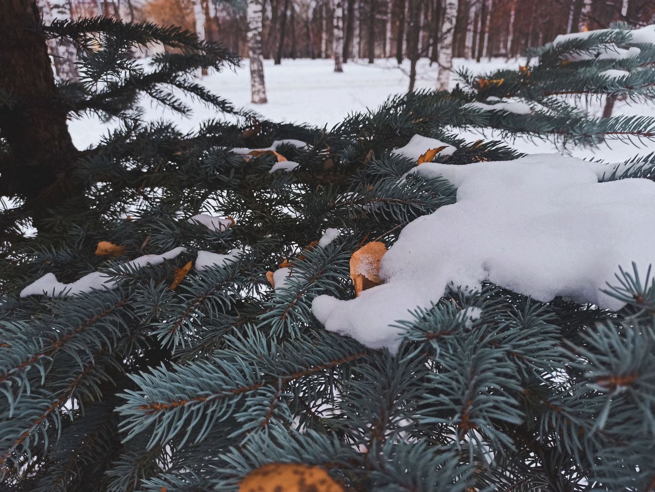 ‼ Внимание водителям: в Кировской области ожидается снегопад  В ближайшее время в Кировской области ожидается снегопад. Об этом предупредили в региональной Госавтоинспекции.  Погодные условия влияют на безопасность дорожного движения. Поэтому водителям напоминают о необходимости соблюдать оптимальную скорость движения, держать безопасную дистанцию и боковой интервал между транспортными средствами, увеличивать их при ухудшении погодных условий или видимости.  При попадании в затруднительную ситуацию можно обратиться за помощью к ближайшему наряду ДПС или позвонить по телефону 58-88-88.  Фото Полины Бересневой