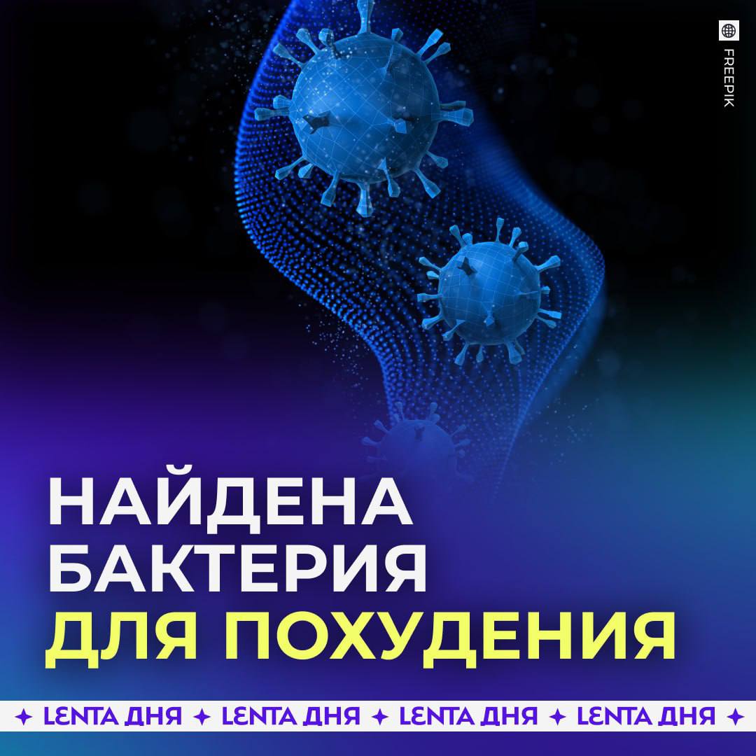 Открыта бактерия, помогающая похудеть. Исследователи из Копенгагенского университета обнаружили, что в кишечнике есть бактерия, которая производит два белка, влияющих на вес. Учёные провели эксперименты с мышами и выяснили, что грызуны, которым вводили бактерии или белки, переставали набирать вес. К тому же у них снизился уровень сахара, и повысилась плотность костей. Также учёные заметили, что люди, у которых было много этих бактерий, оказались более стройными. Теперь они надеются создать лекарство для больных ожирением и диабетом. — нам такое надо