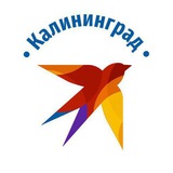 Аватар Телеграм канала: КП Калининград | Новости региона