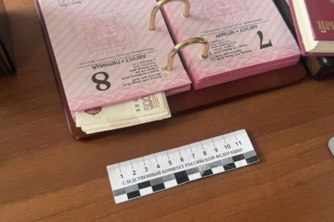 Уголовное дело в отношении Веры Фейгиной возбуждено по 290 статье УК 8 августа начальник Управления культуры Пензы была задержана по подозрению в получении взятки. Как ранее сообщили в пресс-службе СУ СК России по региону, 8 августа начальник Управления культуры Пензы договорилась взять от предпринимателя взятку 690 тысяч рублей за предоставление преимущества при заключении договоров с взяткодателем и аффилированными с ним лицами в рамках проекта. В этот же день она получила часть взятки 250 тысяч рублей . Противоправные действия пресекли сотрудники УФСБ региона. В отношении начальника управления культуры Пензы возбуждено уголовное дело по признакам преступления, предусмотренного п. «в» ч. 5 ст. 290 УК РФ. В отношении взяткодателя возбуждено уголовное дело по признакам преступления, предусмотренного п. «б» ч. 4 ст. 291 УК РФ. Оба подозреваемых задержаны. Отмечается, что на сайте администрации Пензы Вера Фейгина по-прежнему указана как действующий начальник управления культуры Пензы. -Взгляд