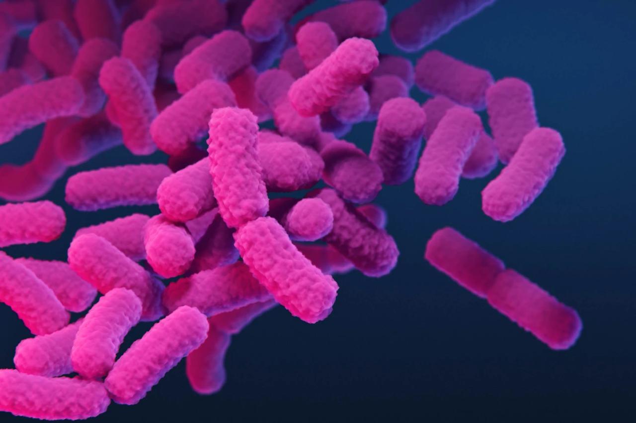 CDC сообщает о росте инфекций вызванных супербактериями Центры по контролю и профилактике заболеваний сообщили о резком росте инфекций вызванных устойчивыми к лекарствам бактериями С 2019 по 2023 год число случаев выросло почти на 70 Основной рост дали бактерии с геном NDM Против них действуют только два дорогостоящих антибиотика которые вводят через капельницу пишет АР Если раньше подобные бактерии попадали в страну вместе с пациентами после лечения за рубежом то теперь их все чаще находят прямо в американских клиниках Ученые говорят что многие могут носить эти бактерии сами того не зная Тогда даже привычные болезни вроде инфекций мочевых путей лечить становится намного сложнее Во время пандемии COVID 19 антибиотики назначали слишком часто и микробы выработали защиту CDC предупреждает если тенденция сохранится то обычные болезни которые раньше легко лечили станут смертельно опасными Подписывайтесь Телеграм ЧЕРЕДОВ Нью Йорк Youtube канал БЮРО
