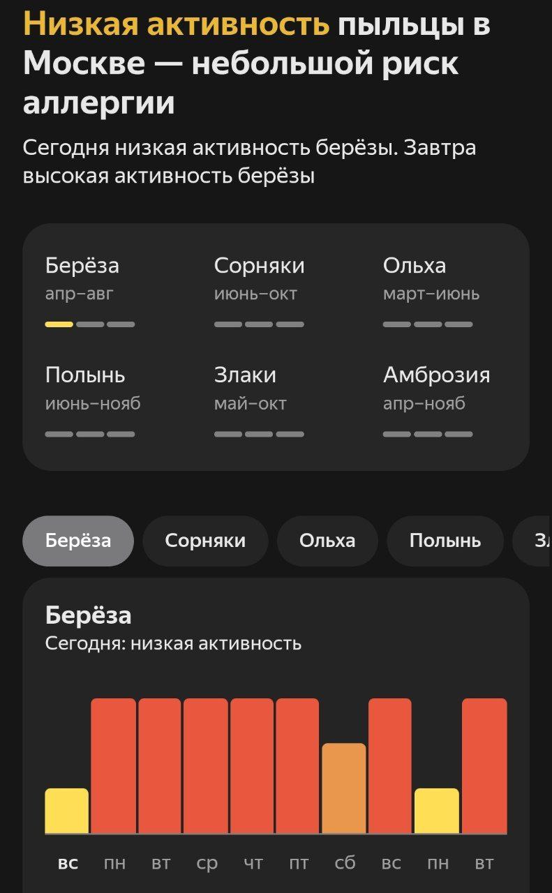 Высокая активность березы прогнозируется завтра в Москве с сохранением на неделю. Аллергикам рекомендуется принять соответствующие меры. «Москва»