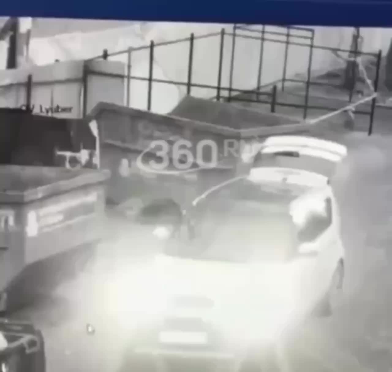 В Люберцах спасли выброшенного корги, общественники требуют контроля за жестоким обращением с животными