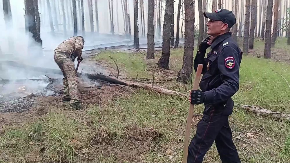 В ЛНР полицейские помогли огнеборцам потушить пожар в лесном массиве вблизи посёлка Боброво ⁠ В Луганской Народной Республике сотрудники ОМВД России «Северодонецкий» пришли на помощь жителям посёлка Боброво, вблизи которого произошло возгорание леса. Когда пожарная автоцистерна в очередной раз отправилась на дозаправку, пламя из лесного массива стало приближаться к границам населённого пункта.  Правоохранители территориального подразделения органов внутренних дел смогли частично локализовать огонь, засыпав его землёй при помощи лопат. Это послужило препятствием для дальнейшего продвижения пожара и позволило выиграть время до прибытия специализированной техники МЧС....  Подробнее>>>