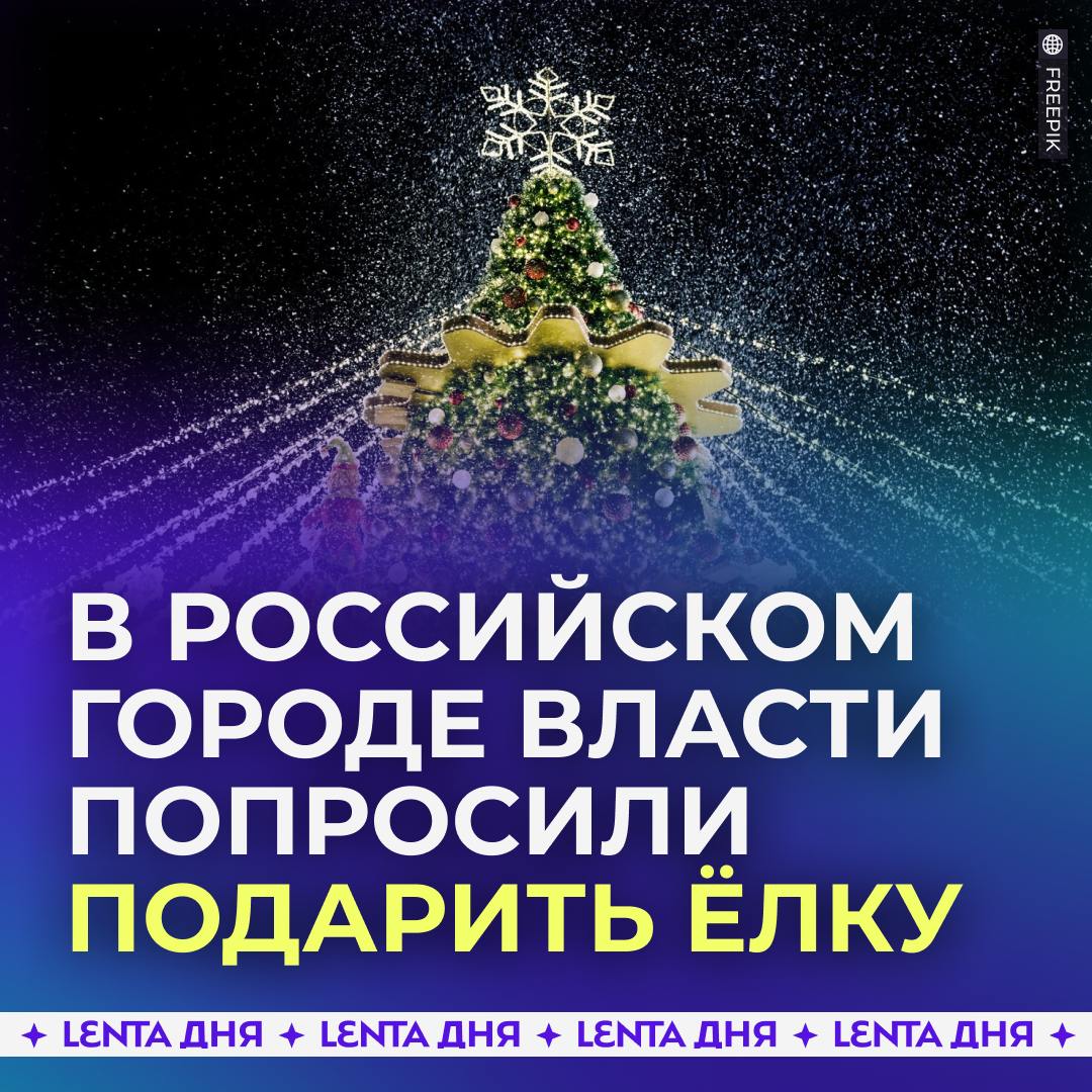 Власти российского города попросили жителей подарить новогоднюю ёлку.  В администрации захотели совместить приятное с полезным: сэкономить на покупке 12-метровой ели и помочь кому-то из жителей избавиться от дерева.   В соцсетях горожане начали смеяться над ситуацией, но позже мэр Юрьев-Польского объяснил, деньги на украшение города есть.  Что думаете?    — отличная идея, нужно экономить, когда есть возможность   — ну ёлочку раз в год могли бы и сами оплатить