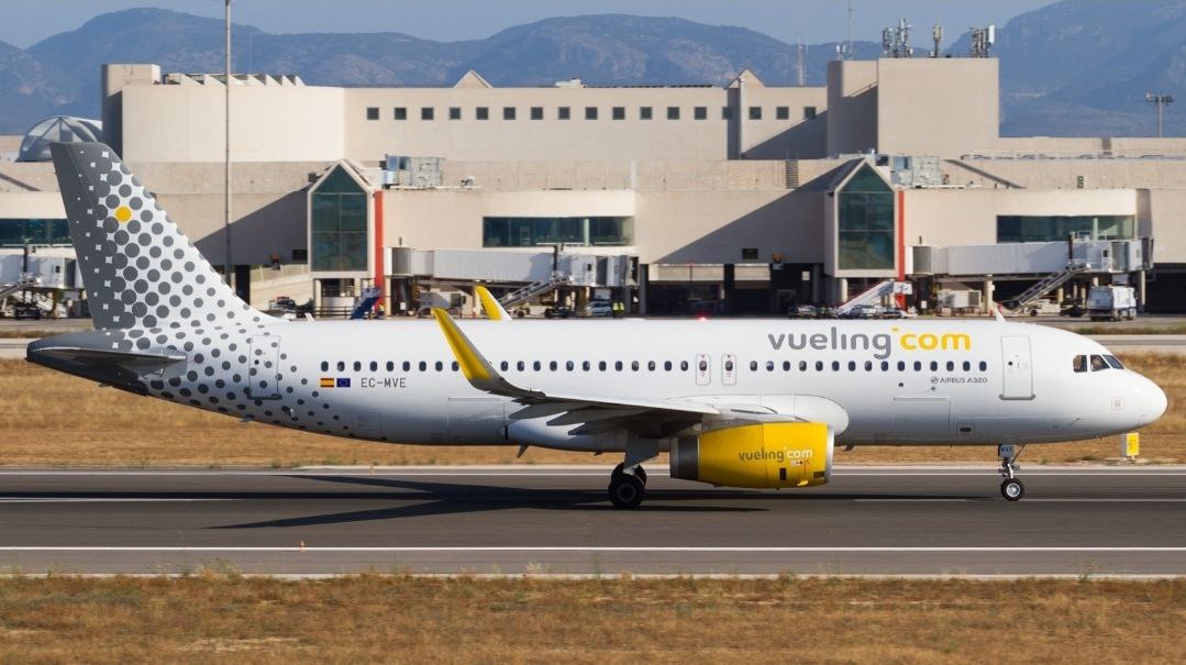 В аэропорту испанской Валенсии из самолета авиакомпании Vueling высадили группу примерно из 50 французских  или алжирских  молодых евреев и их сопровождающих. Юноши еще до взлета начали вести себя как обычно непотребно, пакостить, выдергивать спасательное оборудование, вопить и не слушались команд экипажа. Пришлось звать полицию. Хазирим выгнали из самолета, а на одну из сопровождающих даже пришлось надеть наручники – так она бесновалась.   Интересно, что еврейская пресса и кое-какие западные СМИ  из тех, что склонны оправдывать действия террористического государства Израиль  пытаются представить происшествие, как акт антисемитизма. Однако им никогда не поверит любой, кто знает термин «поезд в Умань». Евреи, в первую очередь, и не поверят. Но не скажут об этом.   Наглые еврейские дебоширы и грязнули традиционно доставляют много проблем туристической и транспортной отраслям многих стран. Так, совсем недавно несколько молодых израильтян устроили скандал и погром в тайской больнице. Они вели себя непристойно, курили, плевались, разбрасывали объедки в иедицинском учреждении и, наконец, ненесли побои медсестрам. Хулиганов депортировали, а власти региона, где это произошло, были вынуждены успокаивать местное население. Рассердившееся из-за инцидента на всех евреев вообще, в т.ч. на давно живущие там несколько семей мирных иудеев.  SEMPER IRATUS, инсайды и подробности.