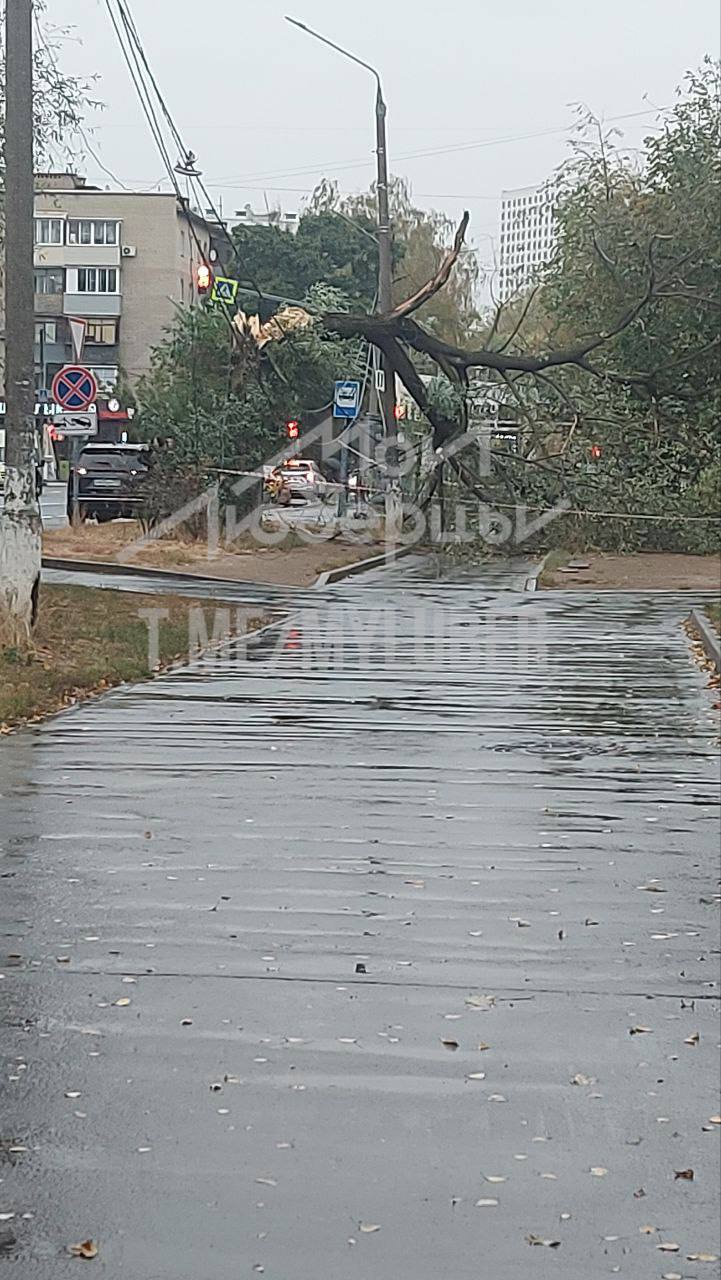 На Попова в Люберцах упавшее дерево повредило провода.  А в Томилино на Пионерской дерево упало на припаркованный автомобиль. Инцидент оформляет сотрудник ГИДДД.           присылайте новости -