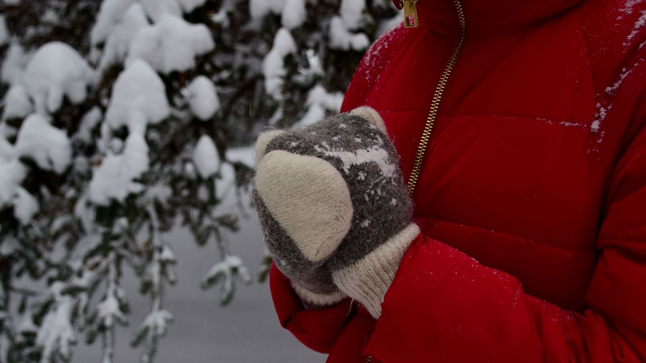 Перепады температур с похолоданием до -17°C ожидаются в Челябинской области  Нестабильная погода накроет Челябинскую область в ближайшие несколько дней. Синоптики предупреждают о сильных перепадах температур с ночными заморозками и гололедицей.  По данным челябинского Гидрометцентра, днем во вторник, 26 ноября, воздух в области прогреется до -2 … +3 градусов. В низинных районах будет заметно холоднее – около -7°C, в Челябинске – до +1 градуса.   В течение дня синоптики прогнозируют неустойчивый слабый ветер со скоростью 1-6 м/с. В течение суток осадков не ожидается, однако утром образуются туманы и гололедные явления.  "Южный Урал остается под влиянием гребня антициклона, что обусловит малооблачную погоду, преимущественно без осадков и со слабым ветром", – комментируют в Челябинском ЦГМС.   Вести Южный Урал   Челябинск