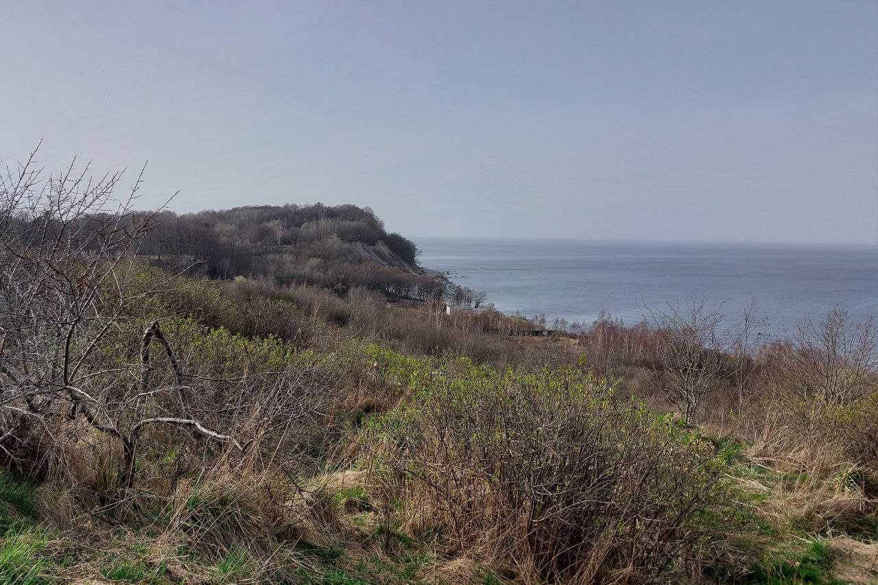 Строительство противооползневых и берегозащитных сооружений в Филинской бухте оценили в 1 3 млрд рублей Сейчас власти готовятся объявить торги по выбору подрядчика Финансирование рассчитано на 2026 2027 годы Заказчиком выступает Балтберегозащита Проект сооружений готовила компания Асгард С ней заключали контракт на 9 1 миллиона рублей в 2023 году По данным правительства площадь защищённого склона в Филино составит 16 4 тысячи квадратных метров а протяжённость побережья 579 метров Подписаться на Калининград Ru