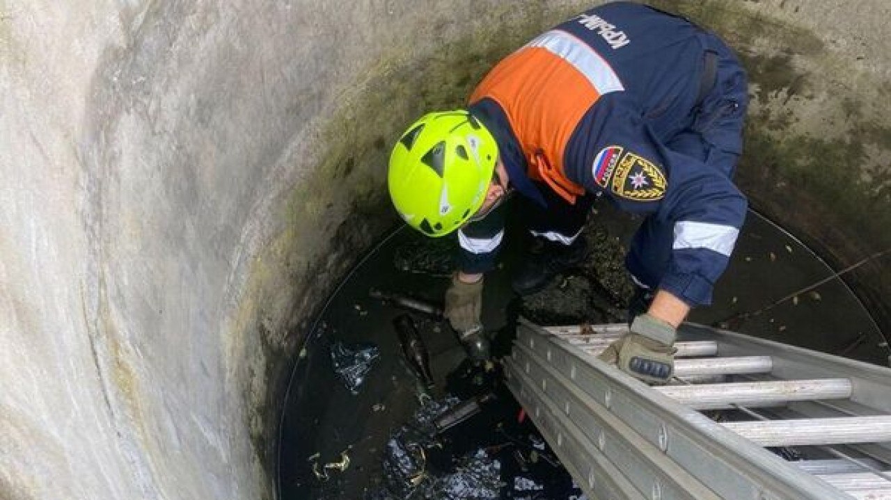 В Крыму спасатели вытащили собаку из двухметрового колодца  В поселке городского типа Ленино в Крыму помощь спасателей понадобилась собаке. Животное провалилось в колодец, наполненный водой и мусором. Об этом сообщили в республиканском МЧС.  Отмечается, что глубина колодца составляла два с половиной метра. На помощь питомцу выехали сотрудники Ленинского аварийно-спасательного отряда «Крым-Спас«.  «Спасатели при помощи трехколенной лестницы достали собачку и передали ее хозяину. Животное не пострадало«, - заверили спасатели... подробнее