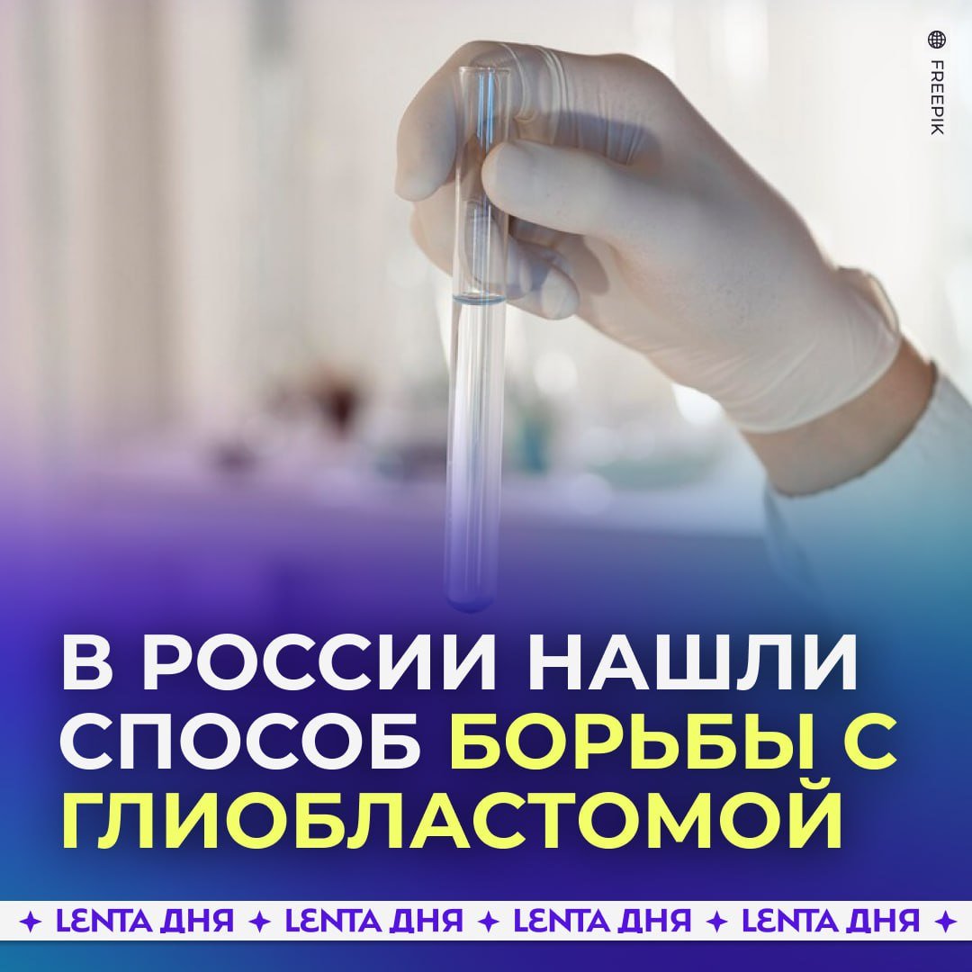 В России нашли способ борьбы с опухолью мозга, от которой погибли Фриске и Заворотнюк.  Учёные придумали, как подавить устойчивость опухоли мозга к лечению с помощью сфокусированного ультразвука и малых интерферирующих РНК. Они подавляют экспрессию белка, который отвечает за рост опухоли.  Глиобластома — самая распространенная и агрессивная форма опухоли мозга. Ранее из-за неё умерли актриса Анастасия Заворотнюк и певица Жанна Фриске.  Ставь  , чтобы это помогло людям