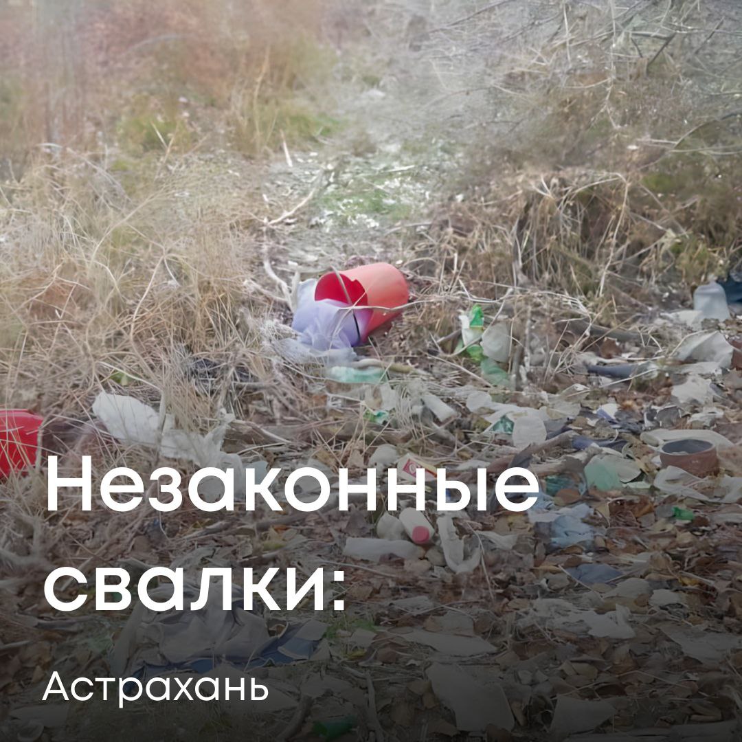 В Службу поступили обращения жителей о незаконных свалках в Астрахани. Наши инспекторы выехали на места и зафиксировали факты захламления территорий растительными, коммунальными, строительными и бытовыми отходами по девяти адресам. Мы направили в администрацию муниципального образования «Городской округ город Астрахань» предостережения о необходимости устранить нарушения. Однако никаких мер принято не было. После этого мы обратились в суд, который полностью удовлетворил наши требования: администрацию города обязали в течение шести месяцев ликвидировать все выявленные несанкционированные свалки. Исполнение решения проконтролируем.