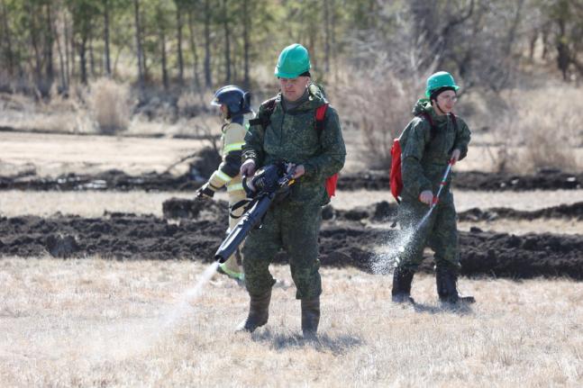 В Челябинской области снизилось число ландшафтных пожаров Чаща всего такие возгорания происходят по вине человека.
