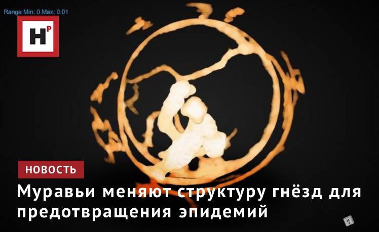 Исследование Бристольского университета показало что муравьи вносят ряд продуманных архитектурных изменений в гнёзда чтобы предотвратить распространение болезней В гнёздах построенных колониями подвергшимися воздействию болезни было гораздо больше входов которые располагались дальше друг от друга а прямые соединения между камерами были редкими Автор исследования Люк Леки сказал Мы уже знаем что муравьи меняют своё поведение при рытье в зависимости от других факторов почвы Это первый случай когда животное не являющееся человеком изменяет структуру жилища чтобы снизить риск передачи заболеваний У муравьёв есть целый ряд поведенческих реакций на болезни которые помогают формировать социальный иммунитет от удаления болезнетворных грибковых спор с помощью челюстей и опрыскивания членов колонии дезинфицирующим ядом до самоизоляции муравьёв переносчиков для защиты всей колонии Фото University of Bristol Luke Leckie Подробнее на портале Научная Россия муравьи эпидемии