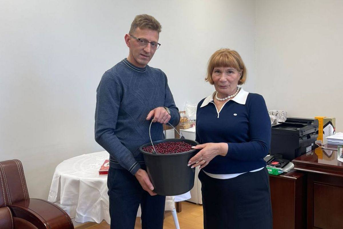 Центр поддержки семей мобилизованных акция Операция Ягодка подарки и Уголок памяти Магаданские школьники совместно с Единой Россией поддерживают участников СВО Директор Магаданского областного центра образования 1 Александр Симонов встретился с руководителем Центра помощи мобилизованным депутатом законодательного собрания Колымы Ксенией Суханкиной чтобы обсудить совместные проекты по поддержке семей мобилизованных вовлечение детей в социально патриотические акции и развитие образовательных инициатив для особенных детей В областном центре образования 1 обучаются особенные дети и сегодня ребята вместе с педагогами и родителями активно участвуют в акции Операция Ягодка Школьники собирают бруснику из которой готовят пастилу для бойцов В этот раз Центр поддержки передал в школу 50 килограммов свежей ягоды этого хватит на десятки сладких посылок которые отправятся на передовую Каждая упаковка это не только угощение но и частичка тепла колымских семей поддержка и вера в наших защитников Кроме того для школьного музея были переданы сборник стихов За Россию За Донбасс и фотоальбом Плетем Победу вместе Экспозиция созданная руками педагогов и детей хранит память о героизме земляков и помогает воспитывать патриотизм у подрастающего поколения Ранее руководитель Центра поддержки семей мобилизованных Ксения Суханкина побывала в Уголке памяти Магаданского областного образовательного центра 1 Вместе с Александром Симоновым они осмотрели стенды созданные усилиями учеников и педагогов Уголок был открыт три года назад Он небольшой но символичный здесь стоят Парты Героев оформлены стенды с материалами собранными детьми и учителями представлены творческие работы ребят Особое место занимает память о современниках бойцах СВО В экспозиции можно увидеть их личные вещи и фотографии Особое внимание привлекают подарки от защитников Отечества бронежилеты каски военную амуницию которую школьники могут потрогать и даже примерить Планируется расширение Уголка памяти и организация экскурсий чтобы как можно больше школьников смогли познакомиться с историей почувствовать сопричастность и связь с героическим прошлым нашей страны Очень важно что наши дети чувствуют себя частью большого общего дела Когда они своими руками делают подарки защитникам это воспитывает ответственность патриотизм и уважение к тем кто защищает страну подчеркнула руководитель Центра поддержки семей мобилизованных Ксения Суханкина