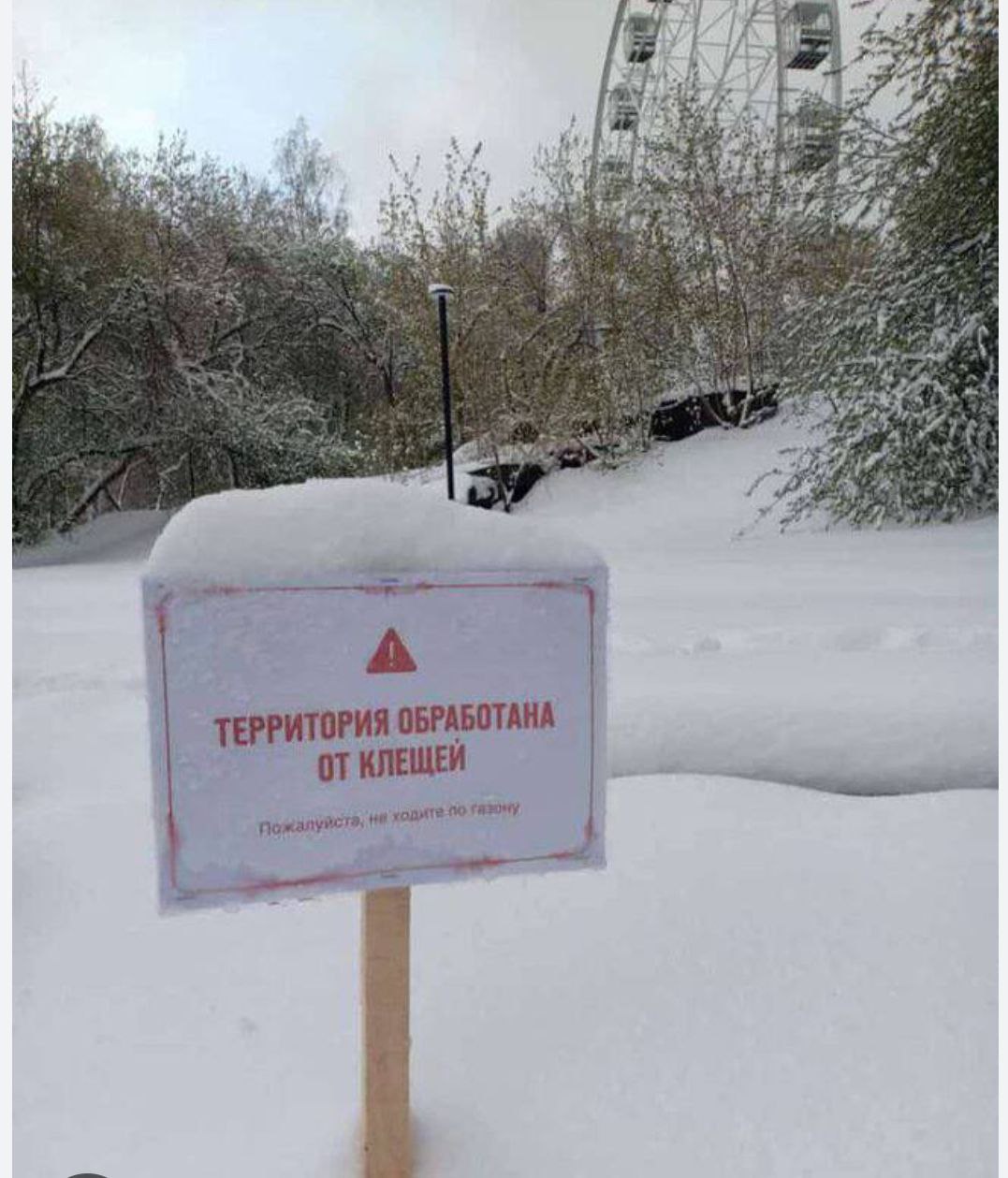 Белоруссию уже атаковали клещи они могут досрочно появиться и в России Несмотря на холода в Белоруссии этой зимой несколько случаев укусов клещей В сводки попали Брестская и Могилевская области Случаи зафиксированы во время работ в сельхозпостройках По данным специалистов морозы не уничтожают клещей Под снежным покровом и слоем прошлогодней листвы они находятся как под теплым одеялом Но их функции снижены Когда же температура поднимается до плюс пяти насекомые пробуждаются и ищут еду Активный сезон клещей начнется после таяния снега Весна не за горами не успеем оглянуться и сугробы этой снежной зимы превратятся в бурные ручьи