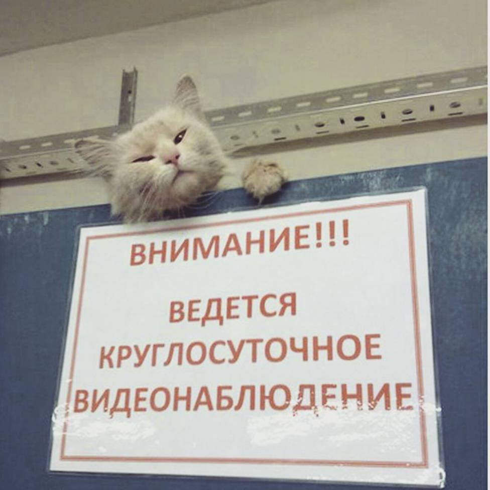 Каждый пятый офисный сотрудник в Челябинске против видеонаблюдения В Челябинске 21% офисных работников, трудящихся под камерами, выступают против видеонаблюдения. Об этом сообщили аналитики сервиса SuperJob по итогам опроса. Камеры установлены в 60% офисов. Большинство сотрудников относятся к ним нейтрально или положительно: 43% — спокойно, 32% — с одобрением. Женщины чаще мужчин не возражают против видеонаблюдения, у мужчин же мнения чаще полярные — как позитивные, так и негативные.