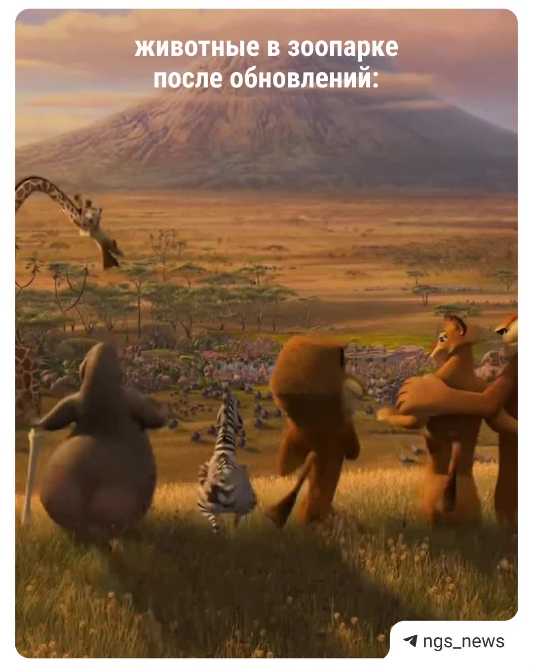 Новосибирский зоопарк получит 265 миллионов рублей на развитие новых вольеров