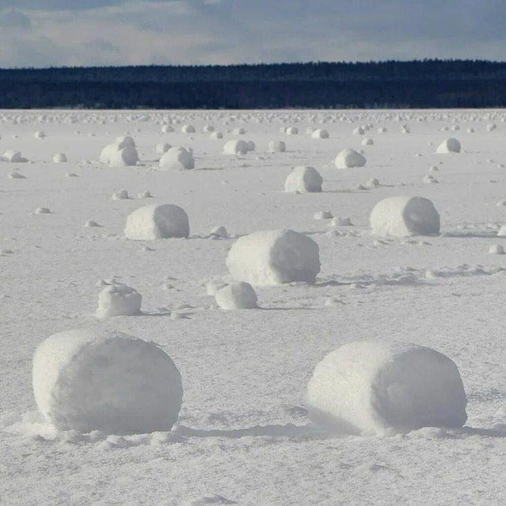 Снежные рулоны Редкое метеорологическое явление зафиксировали в начале декабря в районе аэропорта Оссора на Камчатке снежные рулоны созданные природой Как Снежные комья образуются под действием силы ветра и гравитации без участия человека Фактически ветер катает влажный снег по ледяной корке Для этого нужны особые условия отмечают метеорологи камчатского филиала Авиателеком Росгидромета температура около нуля рыхлый снег устойчивый ветер но не слишком сильный чтобы разрушить рулоны В тот день погода как раз была около 0 С и ветер до 15 м с Фото камчатский филиал Авиателеком Росгидромета